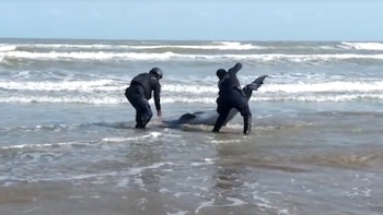 El momento en que dos