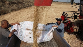 Los precios empujan a China