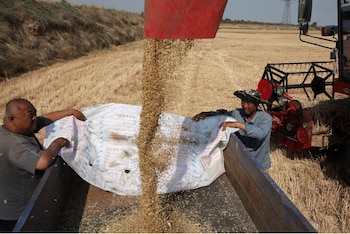 Después de dos años virtualmente