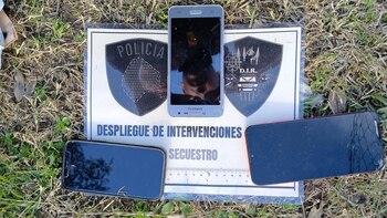 Entre los elementos incautados había