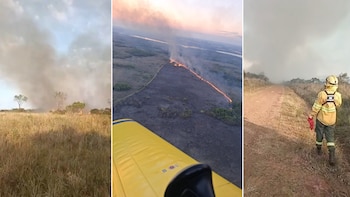 Incendio en Misiones: desplegaron un operativo para combatir el avance del fuego en la reserva Campo San Juan