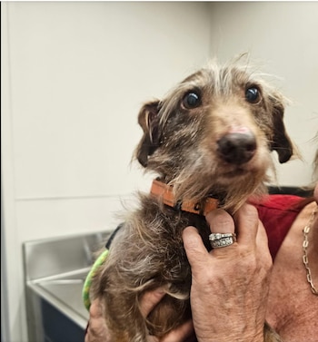 El microchip es una herramienta