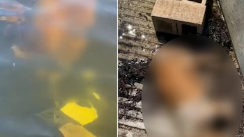 Composición con dos capturas: agua turbia a la izquierda y un bloque de hormigón sobre suelo de concreto con un área difuminada a la derecha