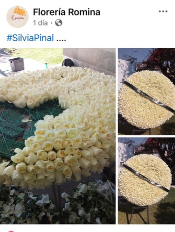 Con 1400 rosas blancas; así