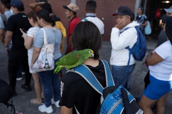 Por lo menos 40.000 personas