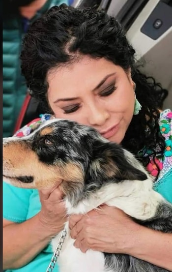 Los perros de Clara Brugada