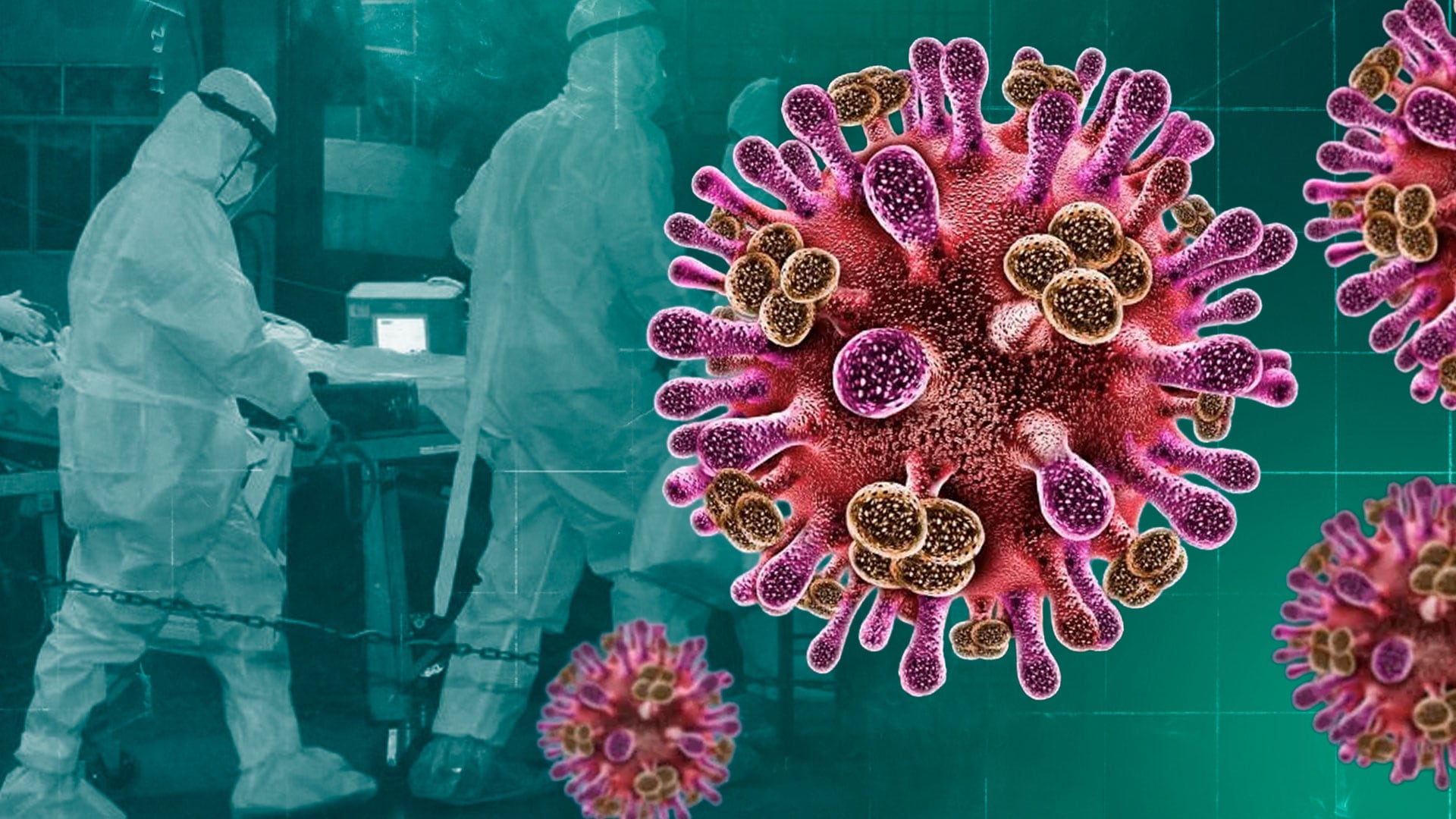 Por qué el virus Nipah no sería el próximo gran reto sanitario en México -  Infobae