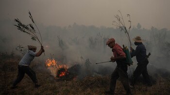 Abrieron más de 70 causas