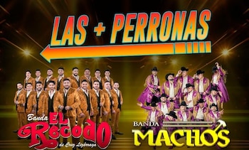 Banda El Recodo y Banda