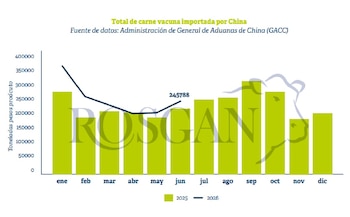 Volumen de carne vacuna importada por China en el primer semestre de 2026