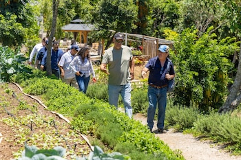 El Salvador lanza una iniciativa nacional de agricultura regenerativa para transformar el sistema agrícola y mejorar la seguridad alimentaria. (Cortesía: Agencia de Desarrollo y Diseño de Nación)