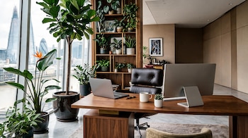 PLANTAS EN CASA DECO