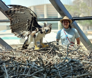 La Selva Lacandona es Crucial