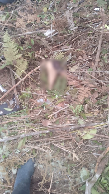 Los cuerpos fueron hallados en