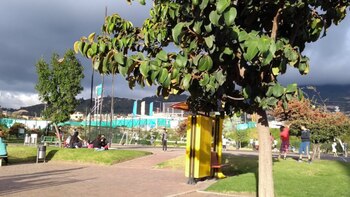 Cuerpo de hombre fue hallado