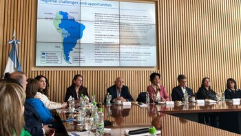 Aseguran que el 80% del