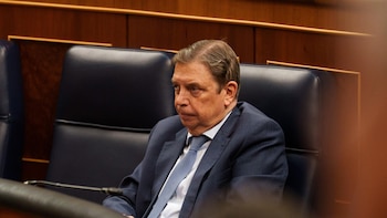 Planas, sobre el plan anticrisis: