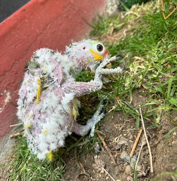 Muchas personas comentaron la publicación