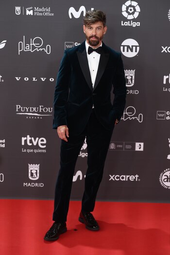 Alfombra roja de los Premios