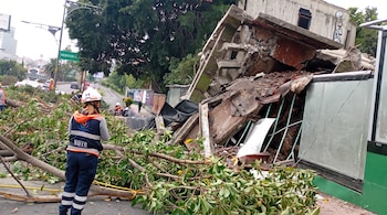 Una persona con chaleco de Protección Civil de espaldas, ramas de árboles en el suelo y una estructura derrumbada con escombros junto a una calle con coches.