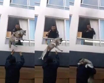 (Captura de pantalla)