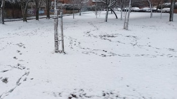 Madrid amanece cubierta de un