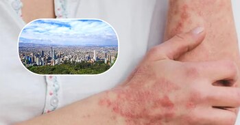 Desde que aparecieron los primeros