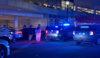 Las cámaras de seguridad registraron el intercambio de disparos entre dos grupos tras una discusión en el parque (Captura New York Post)