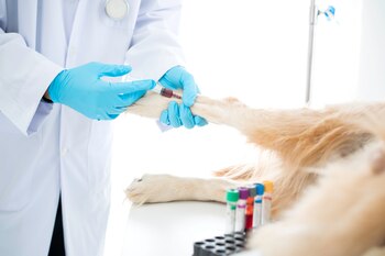 Foto de referencia: Shutterstock