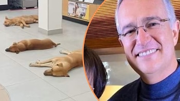 El empresario mexicano Ricardo Salinas