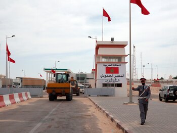 Palas excavadoras se disponían el