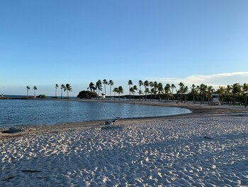 El compromiso de Matheson Hammock