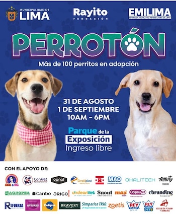 Esta campaña es muy importante