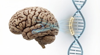 Estudios genéticos demuestran que la