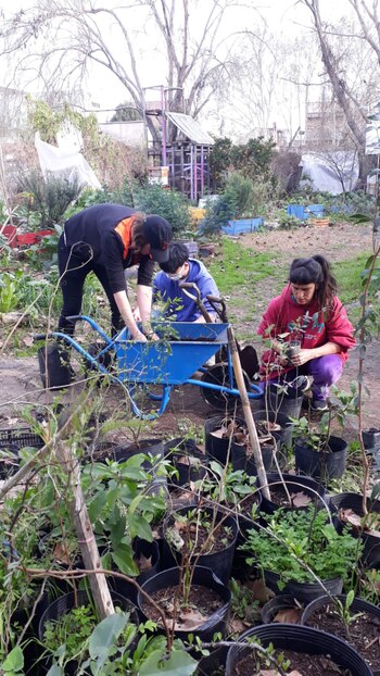 Voluntarios en acción