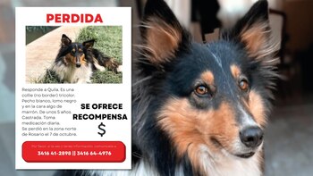 La familia de Quila ofrece