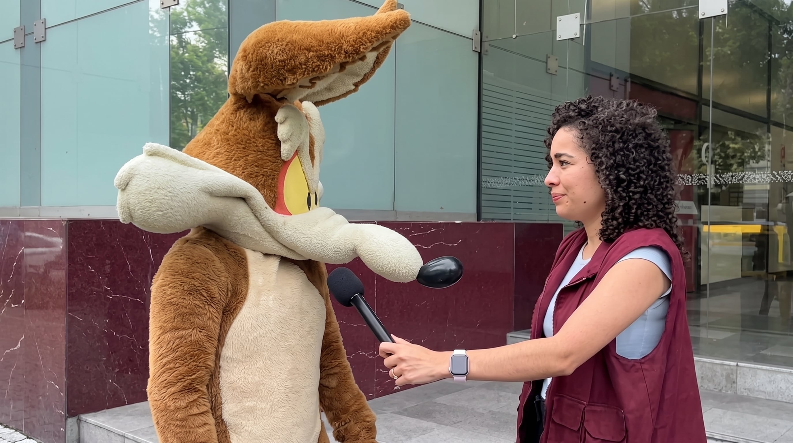 Una botarga de El Coyote acudió a instalaciones gubernamentales en México para