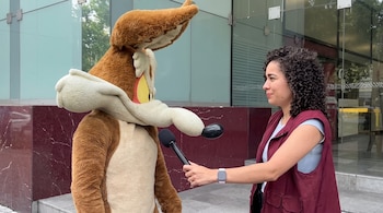 Una botarga de El Coyote acudió a instalaciones gubernamentales en México para "denunciar" a la empresa ACME
