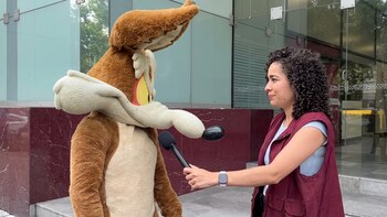 De estar enlatada a romper la taquilla: Coyote vs. ACME supera a Spider-Man en cines de México