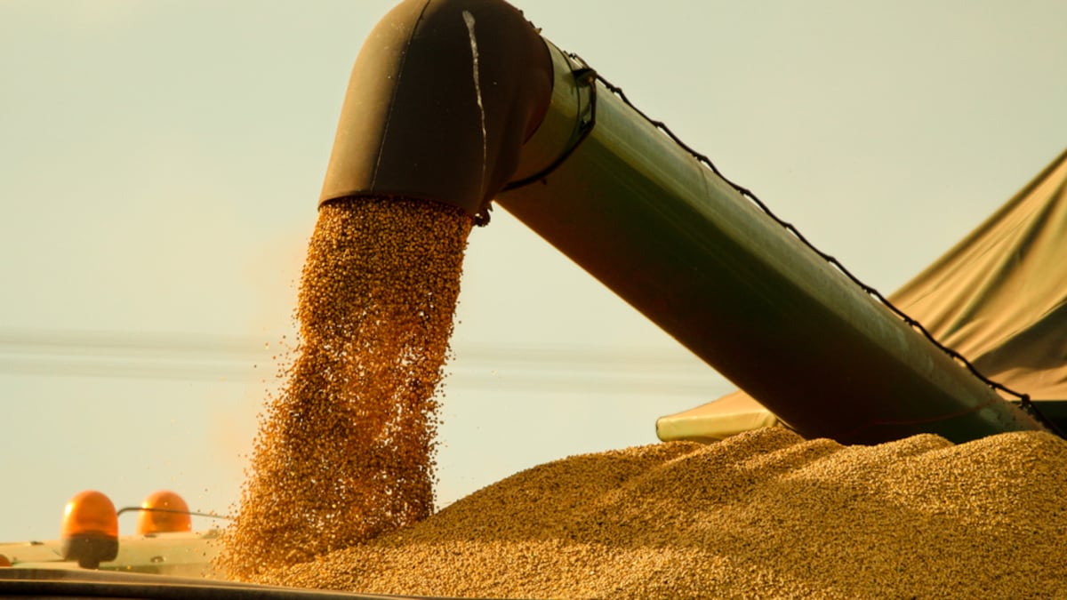 China cerró 2025 con importaciones récord de soja