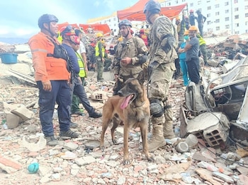 “Bart”, el perro argentino que rescató a dos niños atrapados entre los escombros en Venezuela