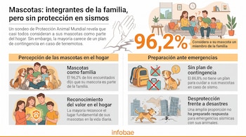 Infografía sobre mascotas y sismos con ilustraciones de familias con perros y gatos junto a datos estadísticos.
