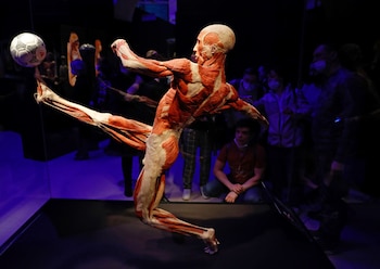 Body Worlds presentó su primera exposición pública en la década de 1990 y se convirtió en un fenómeno global que reunió a más de 58 millones de visitantes en 42 países (REUTERS/Evgenia Novozhenina)