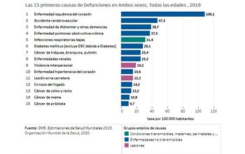 Causas de muerte en el