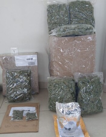 Droga oculta en paquetes incautada