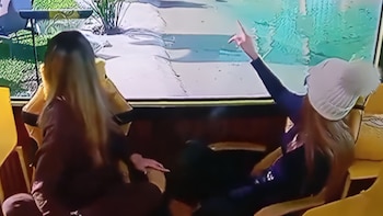 La verdad sobre la alarma en Gran Hermano por el ingreso de una persona en los techos de la casa: “¡Es un policía!”