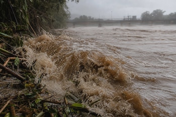 Agua marrón turbia que golpea una orilla con ramas y vegetación, con una estructura de puente visible al fondo.