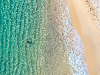 Aguas turquesas y vida marina