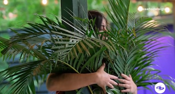 Los participantes de Neos recurrieron