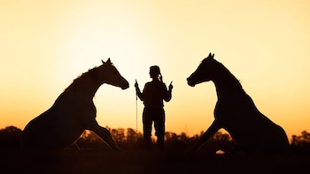 El lenguaje corporal del caballo